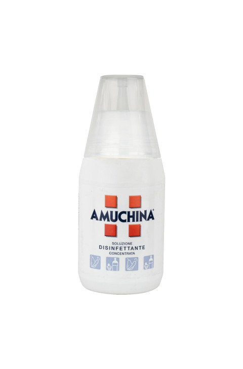 Amuchina Soluzione Disinfettante Concentrata, 250ml
