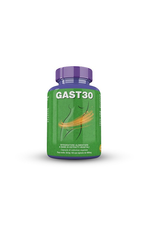 GAST 30 60 CPS 28,2 G BS GAST 30 60 CPS 28,2 G BS