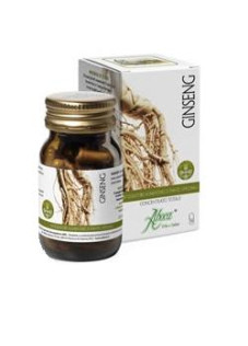 ginseng ( Panax ginseng ) radice estratto liofilizzato.