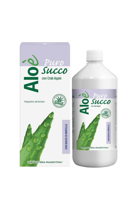 ALOE' ALOE VERA BIO+MIRTILLO1L
