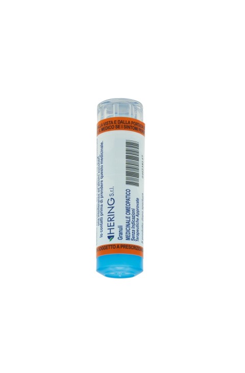BARYTA CARBONICA*9CH 80GR 4G