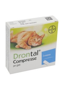 DRONTAL*GATTO  2CPR GMM