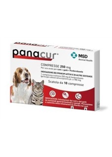 PANACUR-10 CPR 250 MG VET