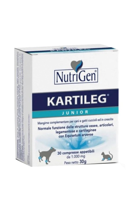 KARTILEG J 30TAV