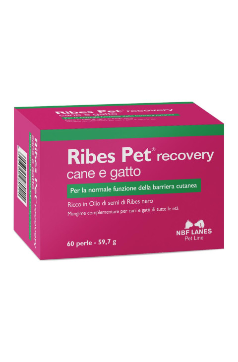 RIBES PET RECOVERY 60PRL