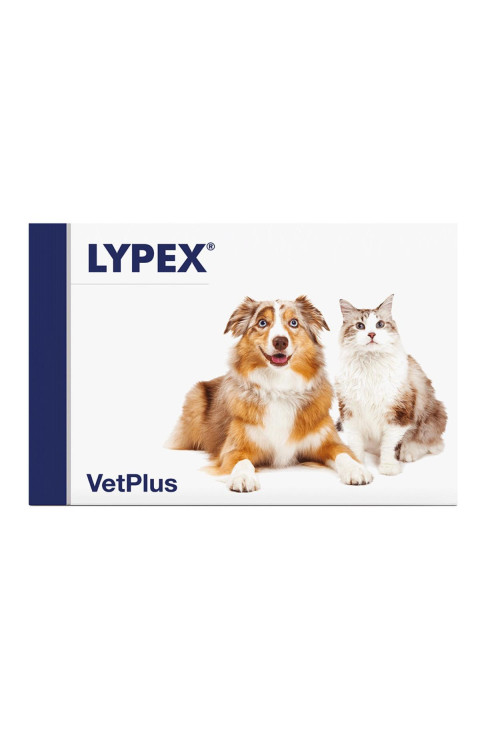 LYPEX 60CPS LYPEX 60CPS
