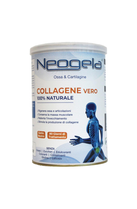 NEOGELA POLVERE 400GR ZETA 92 NEOGELA POLVERE 400GR ZETA 92