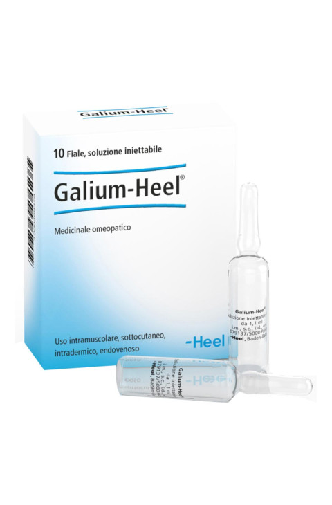 GALIUM 10FL HEEL
