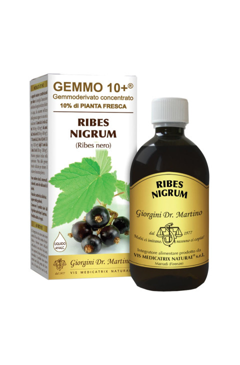 RIBES NE ANALC GEMM 10+500M GIOR