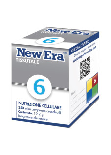 NEW ERA 6 240GR
