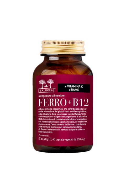 Salugea Ferro + B12 Integratore di Ferro Liposomiale Rame Vitamina B12 e C, 60 capsule vegetali
Salugea Ferro + B12 Integratore di Ferro Liposomiale Rame Vitamina B12 e C, 60 capsule vegetali
