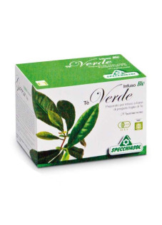 Infuso Bio Gusto Tè Verde, 20 filtri