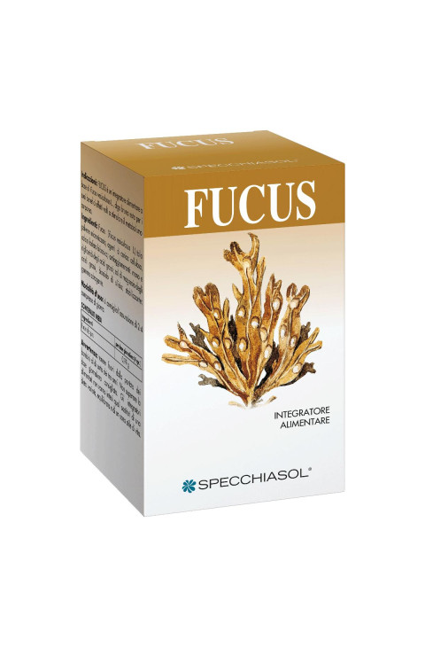 FUCUS ERBE 150TAV SPECCH