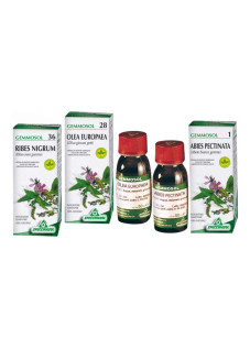 GEMMOSOL 22 BIANCOSPINO 50ML