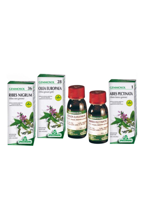 GEMMOSOL 22 BIANCOSPINO 50ML