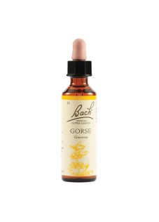 GORSE BACH ORIG 20ML