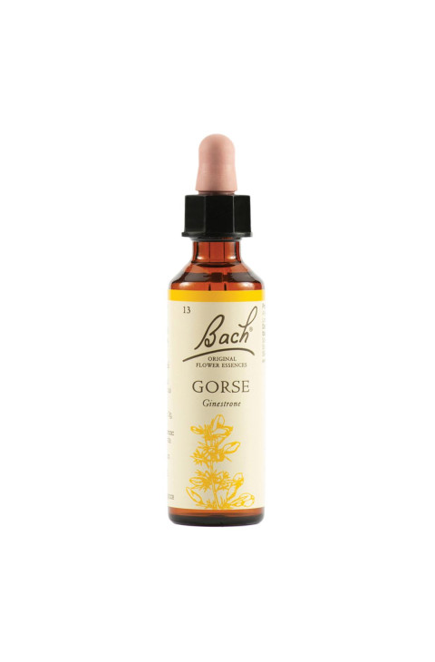 GORSE BACH ORIG 20ML GORSE BACH ORIG 20ML