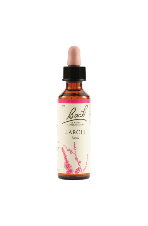 LARCH BACH ORIG 20ML