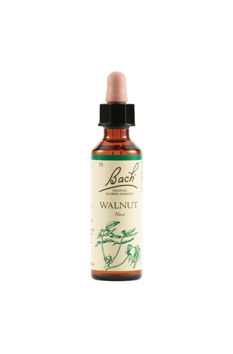 WALNUT BACH ORIG 20ML WALNUT BACH ORIG 20ML