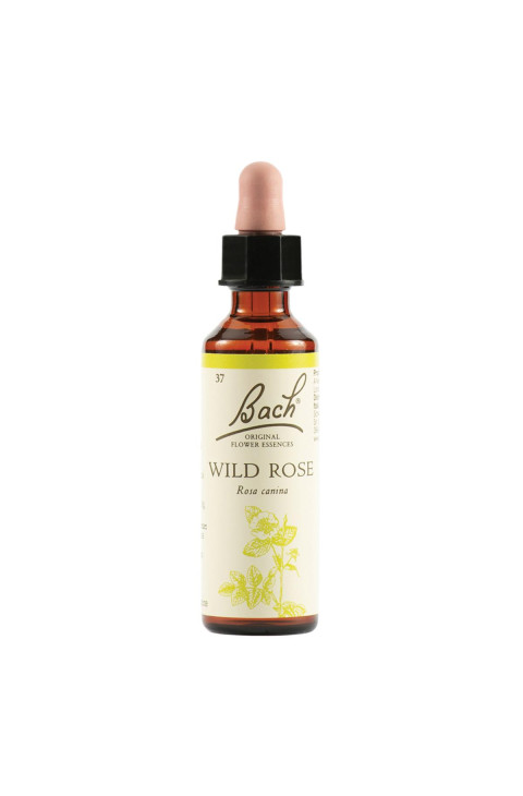 WILD ROSE BACH ORIG 20ML WILD ROSE BACH ORIG 20ML