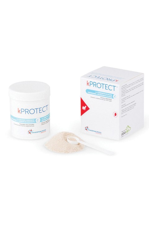 KPROTECT POLVERE 45G KPROTECT POLVERE 45G