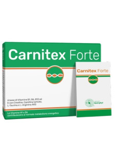 Carnitex Forte 14 Bustine