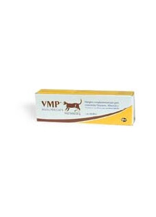 VMP-PASTA GATTI TUBO 50 ML