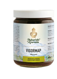 VIGORMAP PASTA 600G