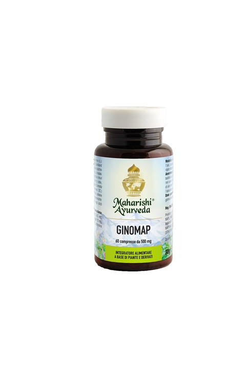 GINOMAP 60TAV MAP