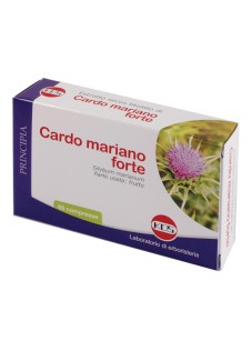 CARDO MARIANO FORTE 60CPR KOS