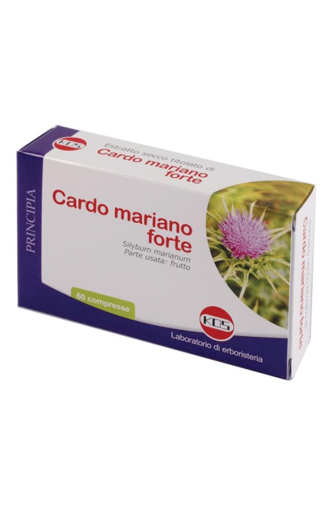 CARDO MARIANO FORTE 60CPR KOS