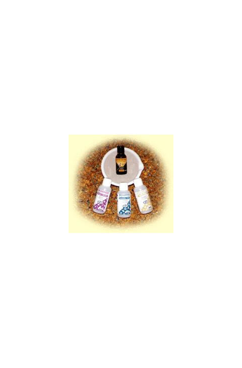 SHAMPOO CAP NORM/SECCHI 250ML