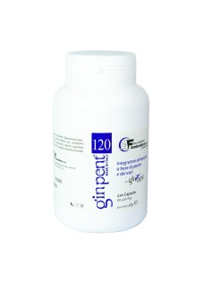 GINPENT 120CPS 400MG