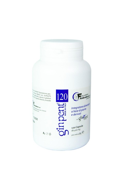 GINPENT 120CPS 400MG