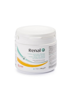 RENAL P 240G