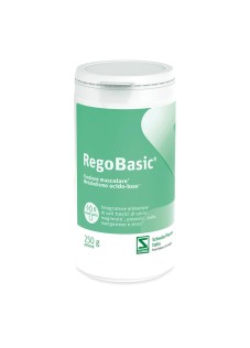 REGOBASIC POLVERE 250G