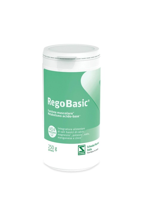 REGOBASIC POLVERE 250G