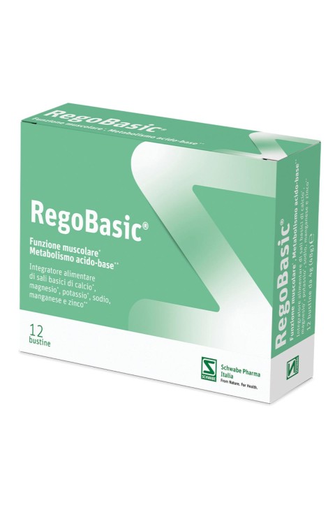 REGOBASIC 12BUST PEGASO