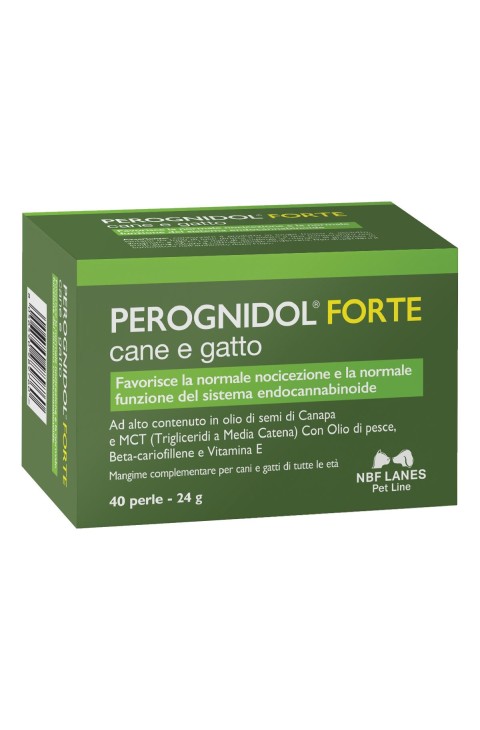 PEROGNIDOL FORTE PERLE PEROGNIDOL FORTE PERLE