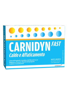 Carnidyn Fast Magnesio e Potassio Reintegro Idrosalino, 20 Bustine