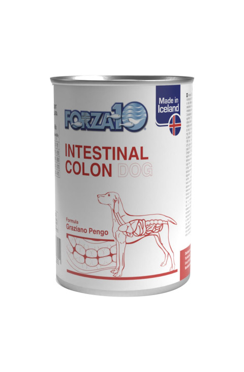 F10 CANE INTESTINAL COLON 390