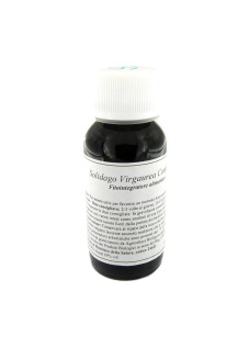 07N SOLIDAGO VIRG 60ML