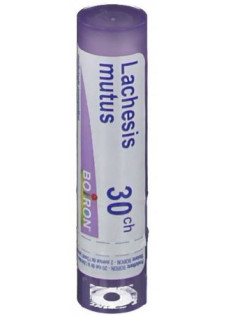 LACHESIS MUTUS 30CH GR BO