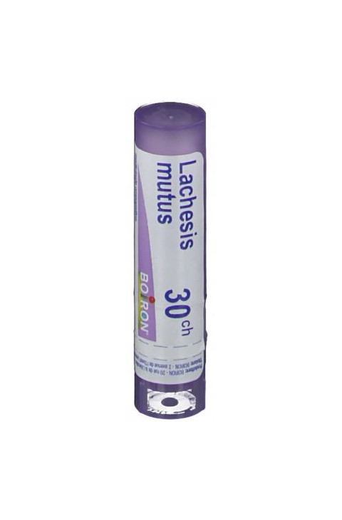 LACHESIS MUTUS 30CH GR BO LACHESIS MUTUS 30CH GR BO