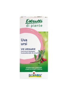 Arctostaphylos uva ursi L. Spreng. apparato fogliare)