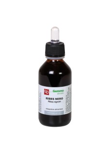 RIBES NE 100ML MG FITOMEDICAL