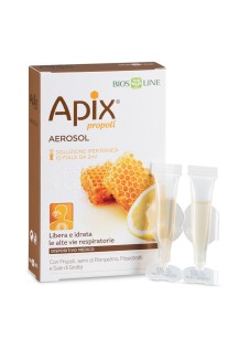 APIX AEROSOL 10FIALE MONODOSE