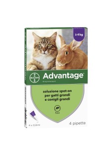 ADVANTAGE*4PIP 0,8ML SPOT-ON