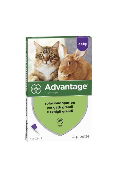 ADVANTAGE*4PIP 0,8ML SPOT-ON