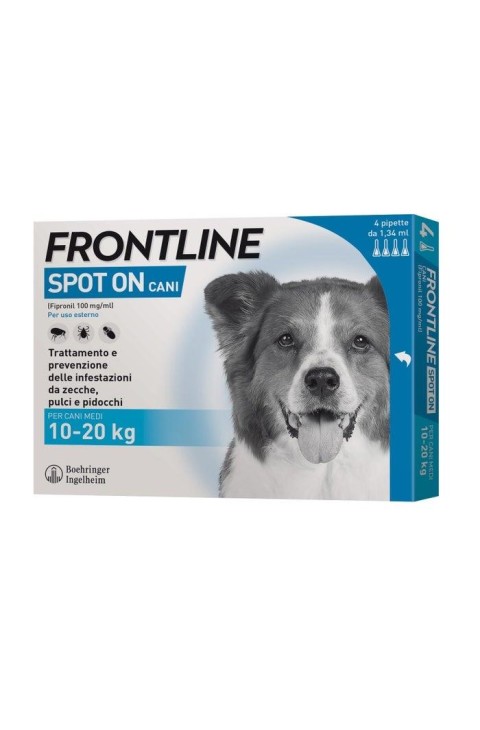 FRONTLINE SPOTON C*4PIP 1,34ML